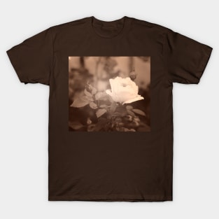 Gentle white rose in soft blurred focus, sepia toned T-Shirt